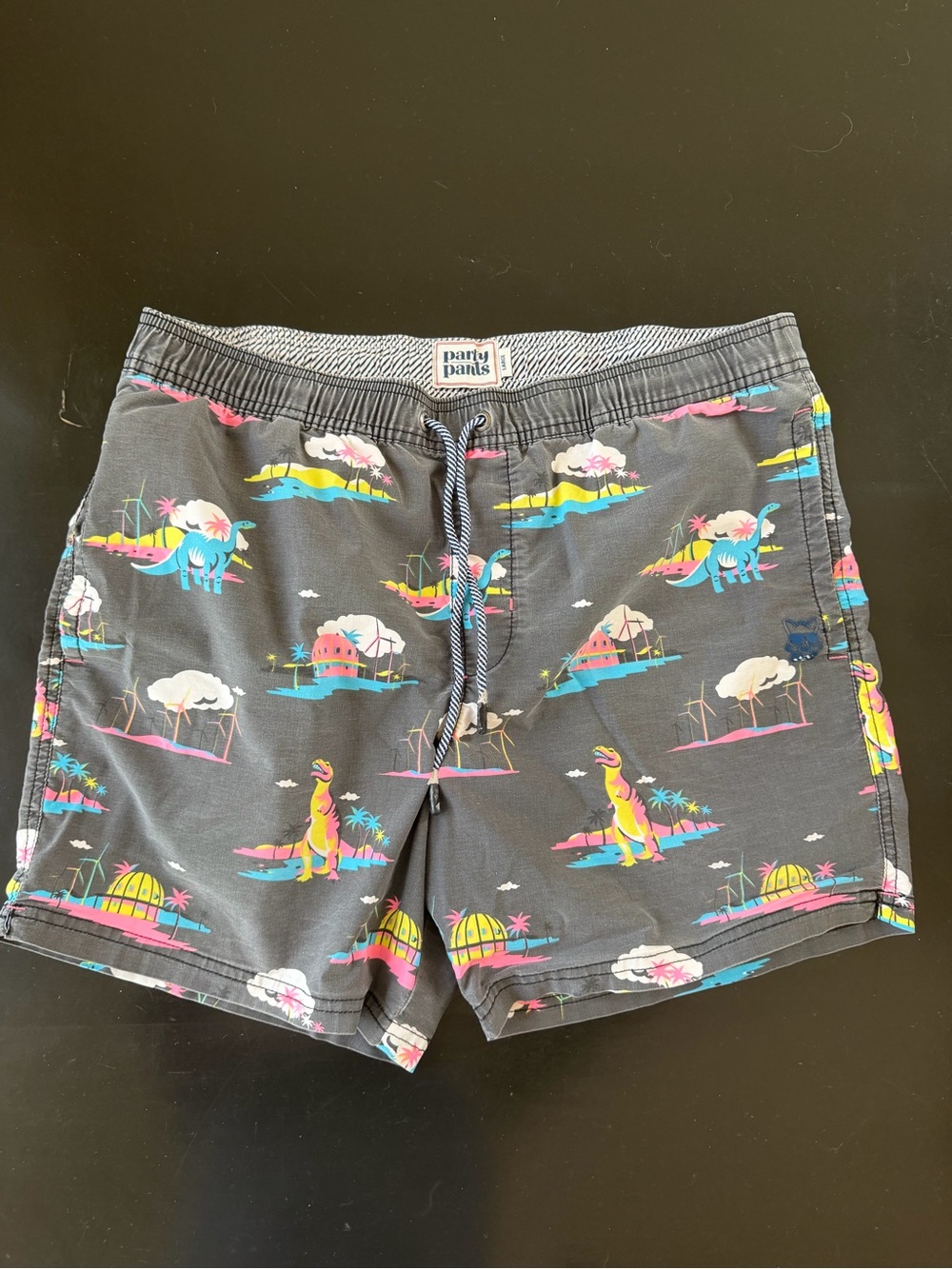 Party Pants Men's Gray Tropical Dino Swim Trunks